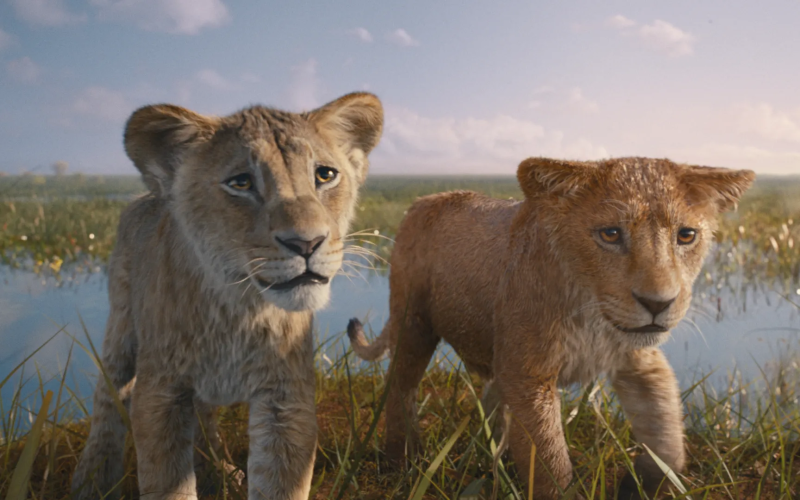 Box Office Italia 20/12 – Mufasa in vetta seguito da Siani/Pieraccioni