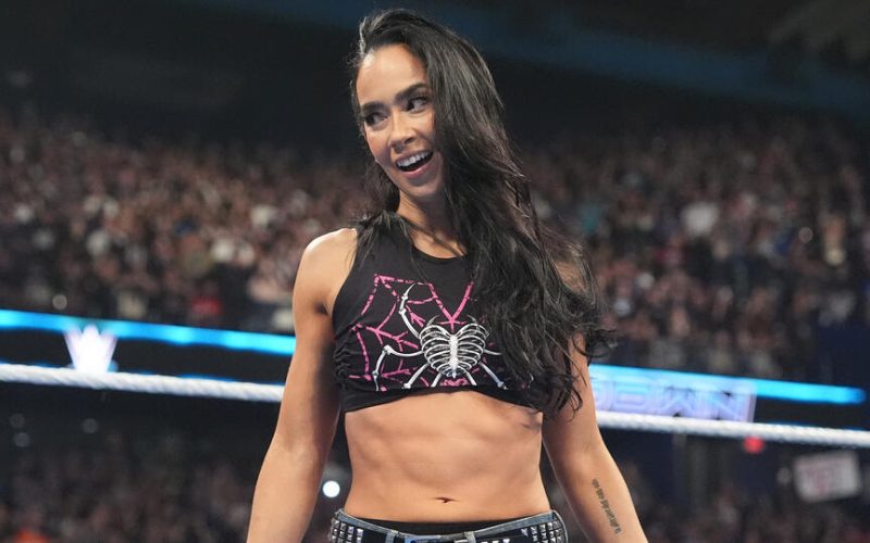 Il ritorno di AJ Lee, WrestlePalooza e Street Fighter