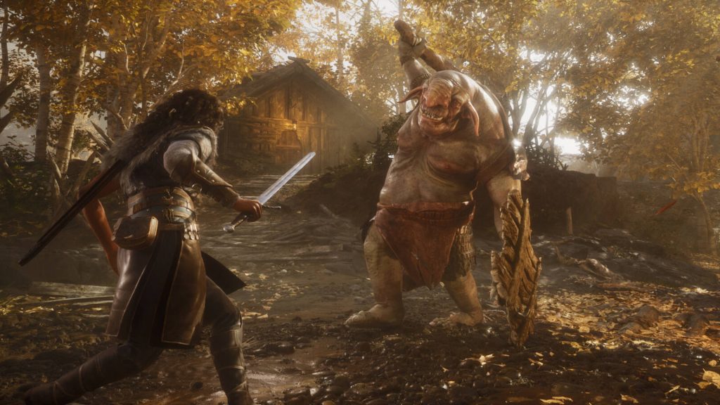 echoes of the end video combattimento