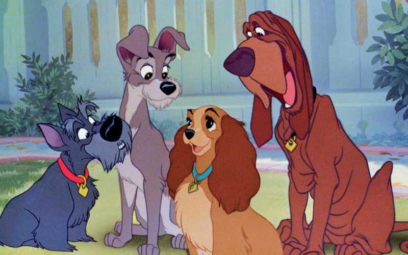 Tutti i cartoni animati Disney (e non) che saranno in TV gratis