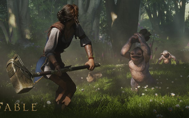 Fable: il punto dopo il Developer Direct